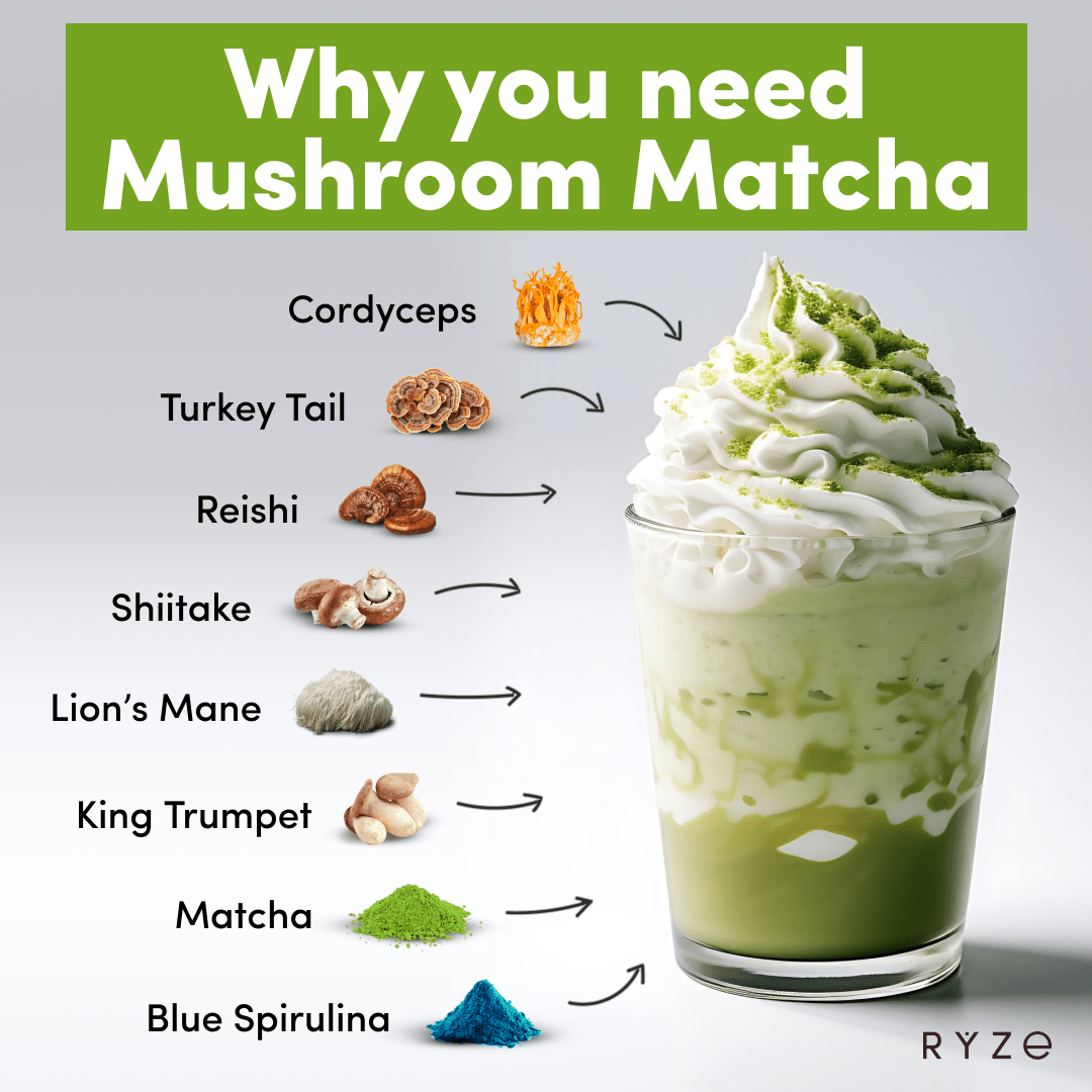 RYZE Mushroom Matcha - with 6 Organic Adaptogenic Mushrooms Grown In USA and Ceremonial-Grade Japanese Matcha A1