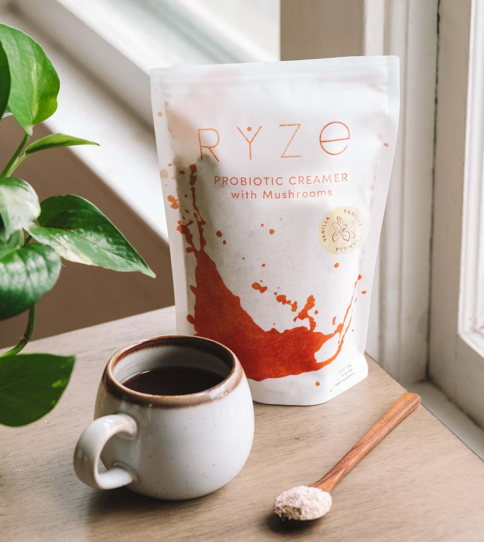 Try our Probiotic Creamer for 50% OFF! D6